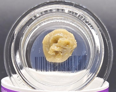 Forte - Yuzu Zest, Live Rosin