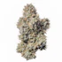 Product Preview Image 2