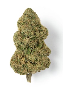 East Fork Cultivars - East Fork Cultivars Candy Blossom