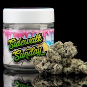 Turtle Pie Co. | Sidewalk Sunday | 3.5g Flower