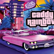 ZAZA-Caddy Rainbow