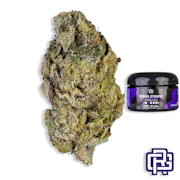 Zebra Ztripez Flower | Quarter Special