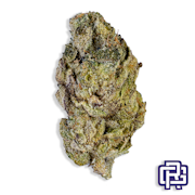 Zebra Ztripez Flower | Quarter Special