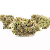 Maine Grown | Afghani | 3.5g [I]
