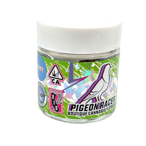 Pigeon Racer - Pigeon Racer - Zoapy Indoor Flower 3.5g