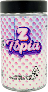 HIGHTOPS - ZTopia 14g Jar - High Tops