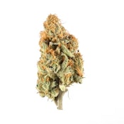 Pruf Cultivar Tangie Biscotti